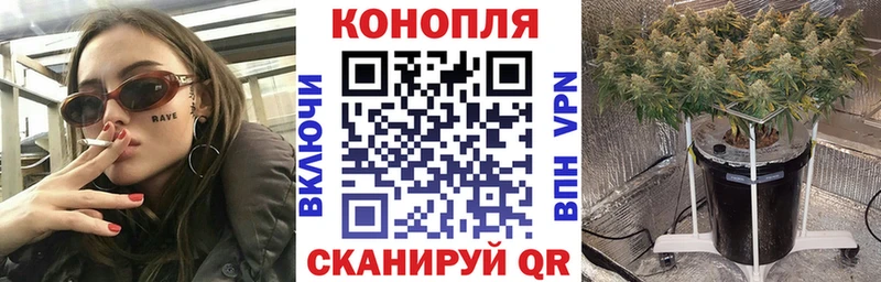 Каннабис MAZAR Новочеркасск